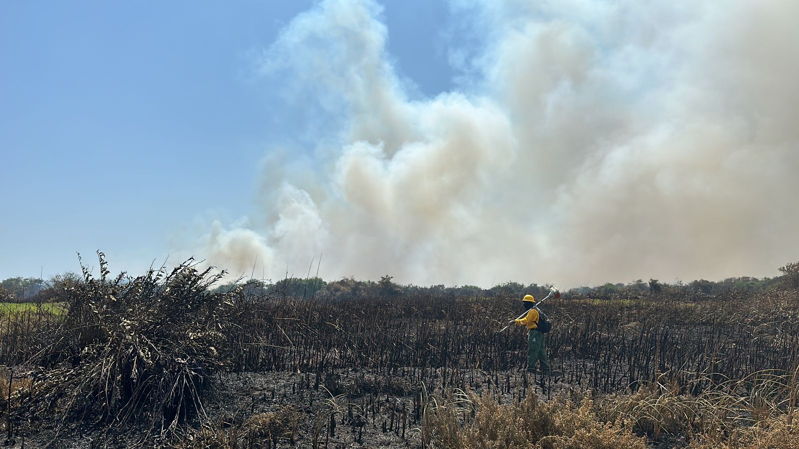 Incendios en Parque Isla Salamanca