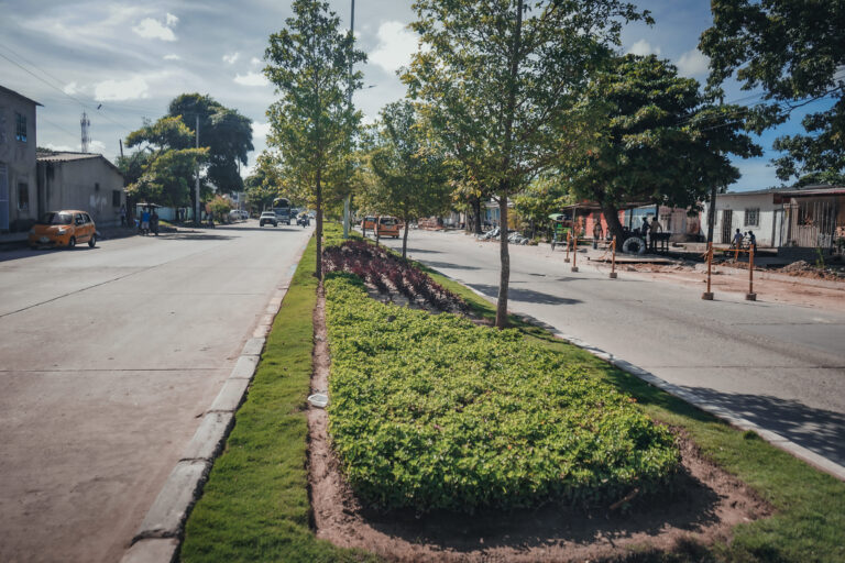 Boulevard con plantas y àrboles