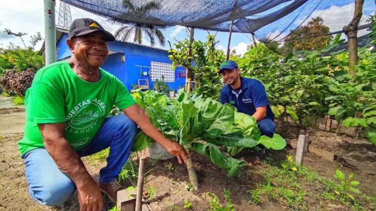 Comunidad trabajando en huertas