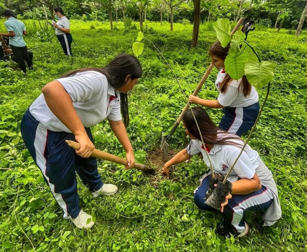 Estudiantes plantan cultivos