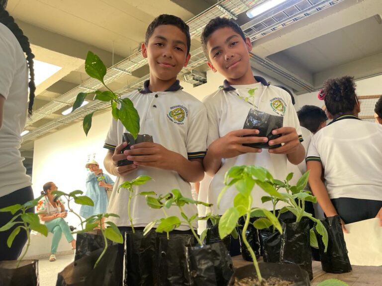 Niños con plantas de agricultura urbana