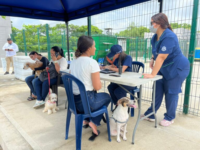 vacunación de perros.