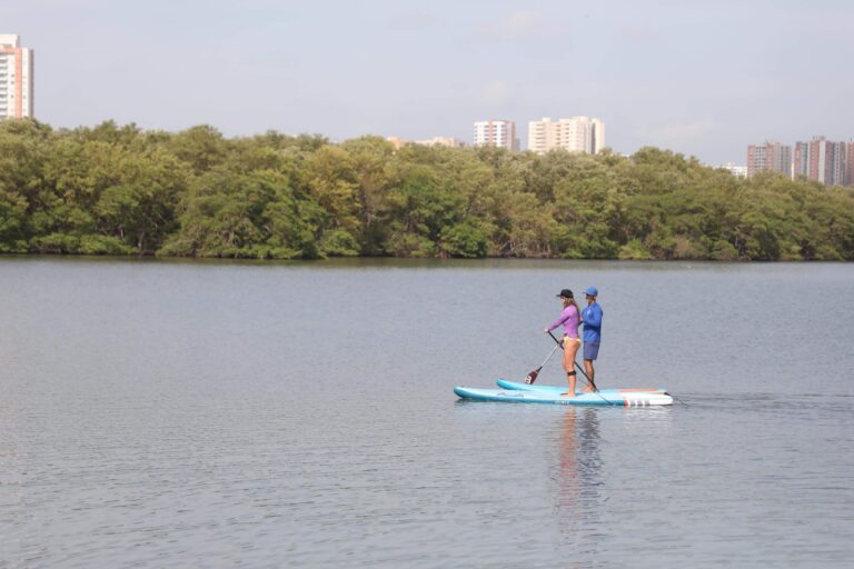 Visitante del ecoparque practicando paddleboarding