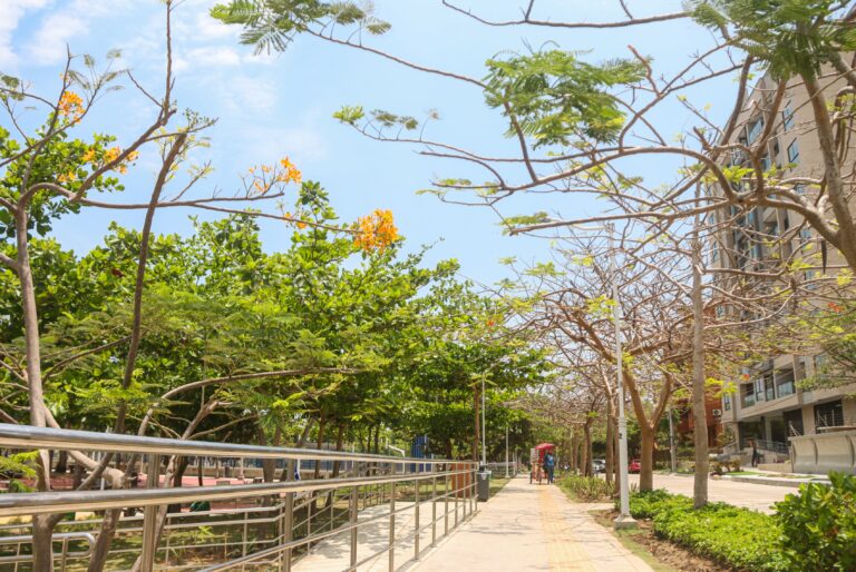 Vista de un parque con rampas para personas con discapacidad