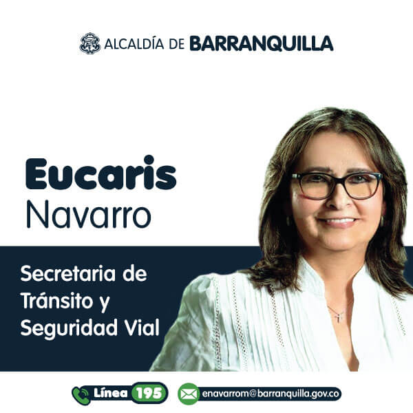 Secretaria de tránsito y seguridad vial