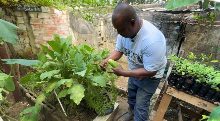 Ciudadano en una huerta del programa ‘Mi barrio siembra’