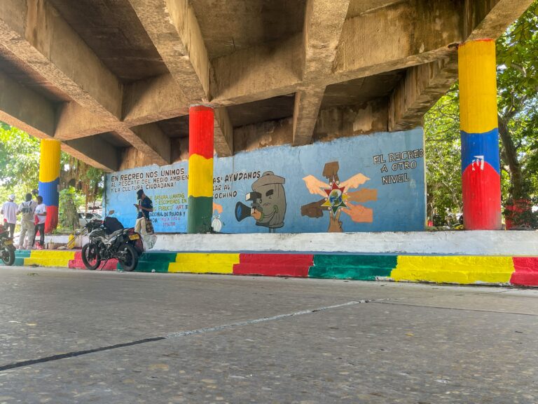 Nuevo mural y andenes pintados bajo puente carrera 38