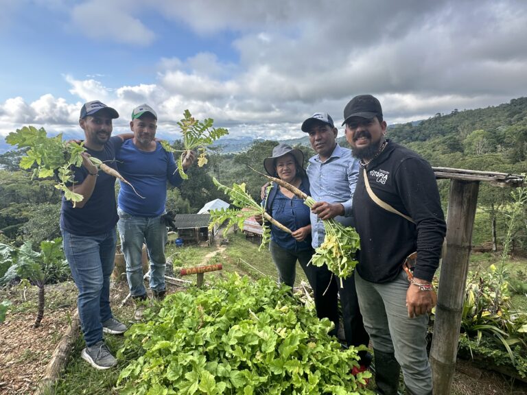 Grupo de personas en una huerta sosteniendo verduras.