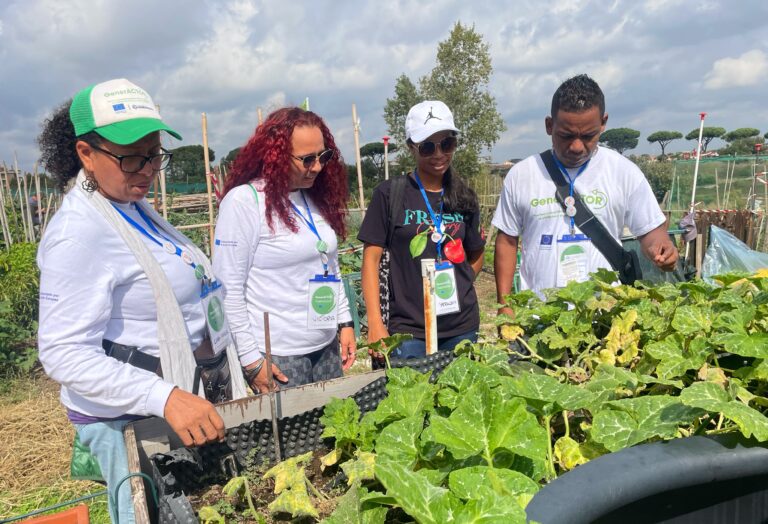 Grupo de personas reunidas alrededor de una huerta comunitaria.