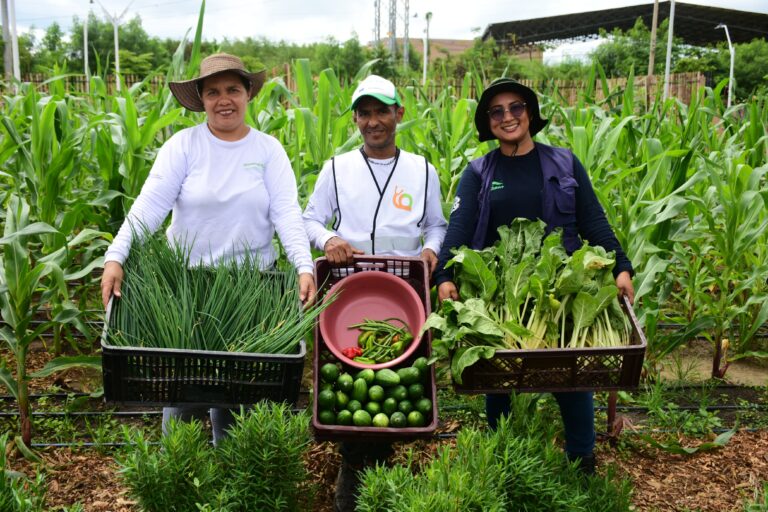 Tres personas sosteniendo cestas de verduras en Huerta comunal.