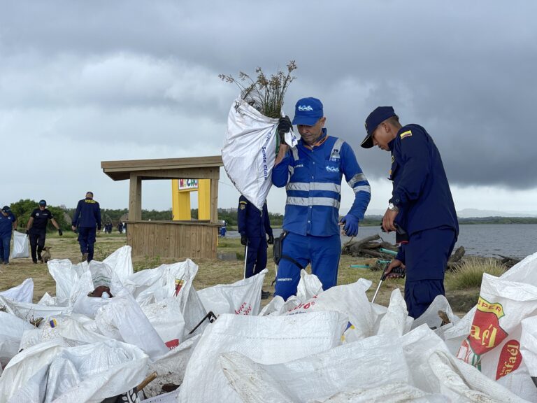 Voluntariados recolectando residuos en Puerto Mocho