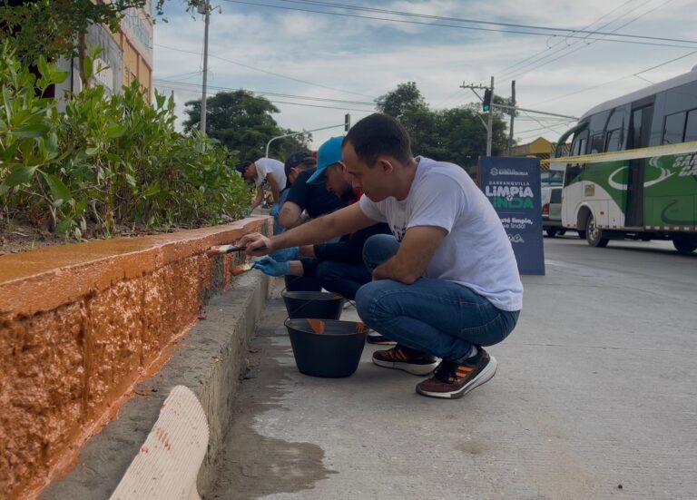 Voluntario pintando anden en punto crítico Cordialidad.