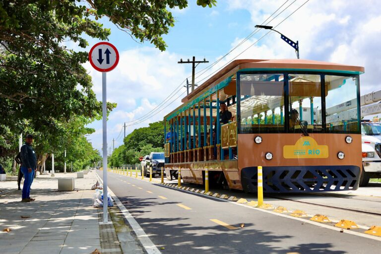 Tren de Las Flores circulando por la vía.