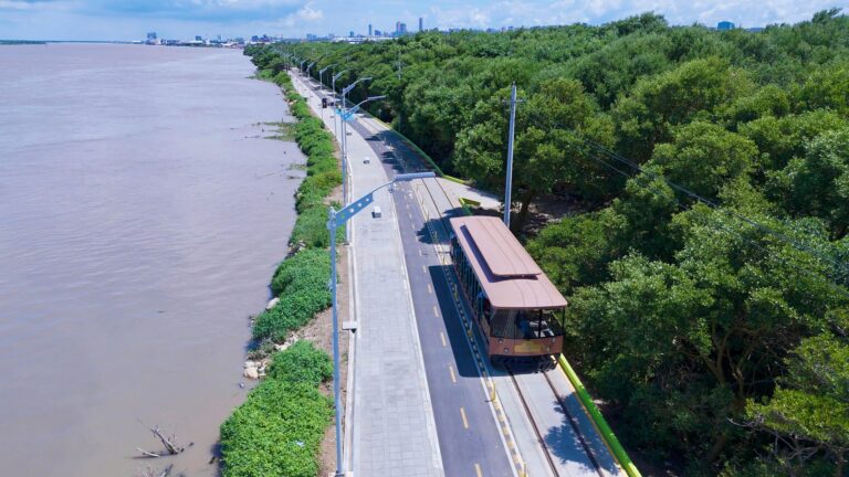 Tren de Las Flores circulando por la vía, al lado del río.