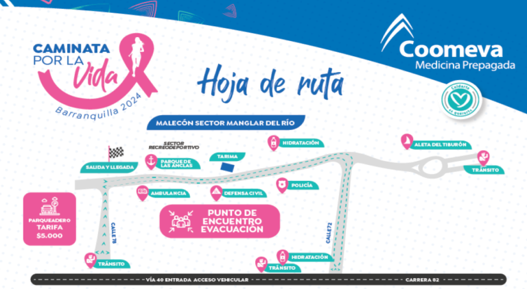 Imagen de la hoja de ruta de la caminata por la vida.
