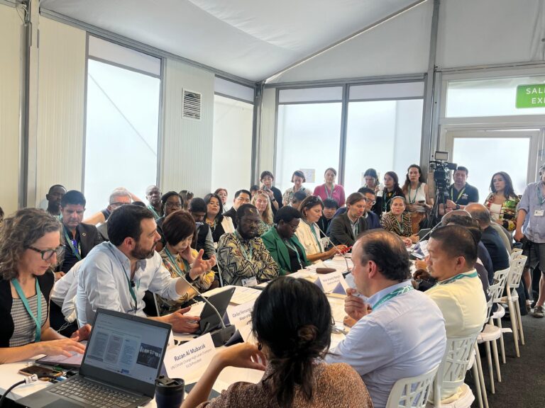 Representantes de distintas ciudades en la conferencia de partes COP16