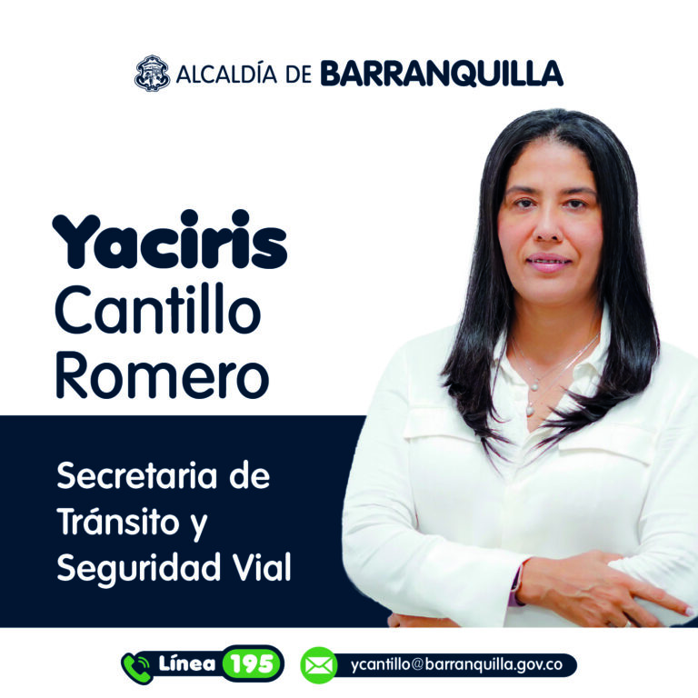 Perfil Secretaria de tránsito y seguridad vial