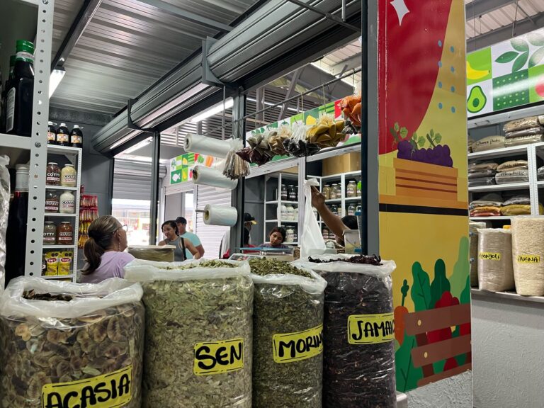 Interior de un establecimiento en el mercado El Playón, con productos frescos exhibidos y clientes realizando sus compras.