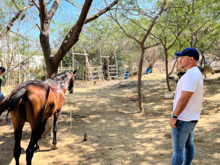 Nelson Patrón junto a un caballo en un campo, en el refugio del programa de Bienestar Animal.