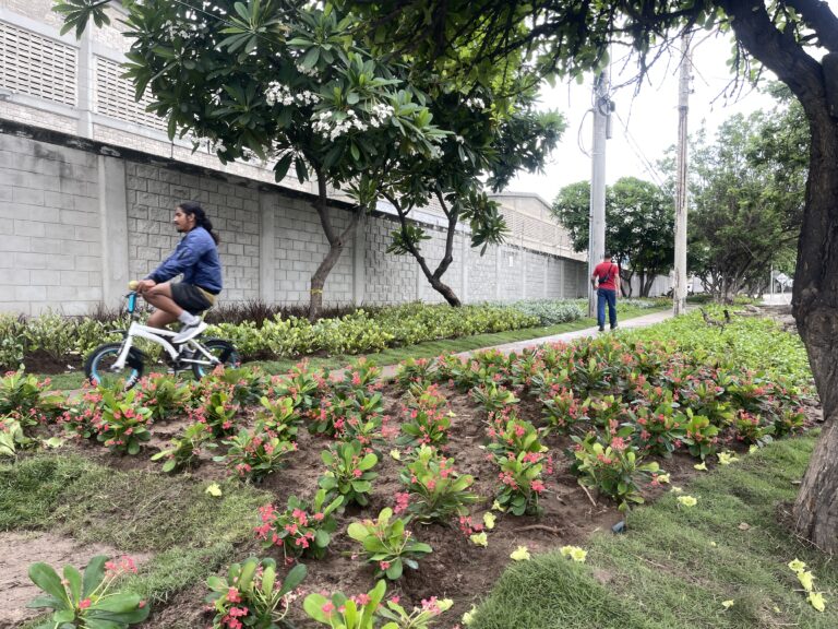 Persona monta bicicleta mientras otra camina junto a jardín con flores y sendero arborizado en zona urbana.