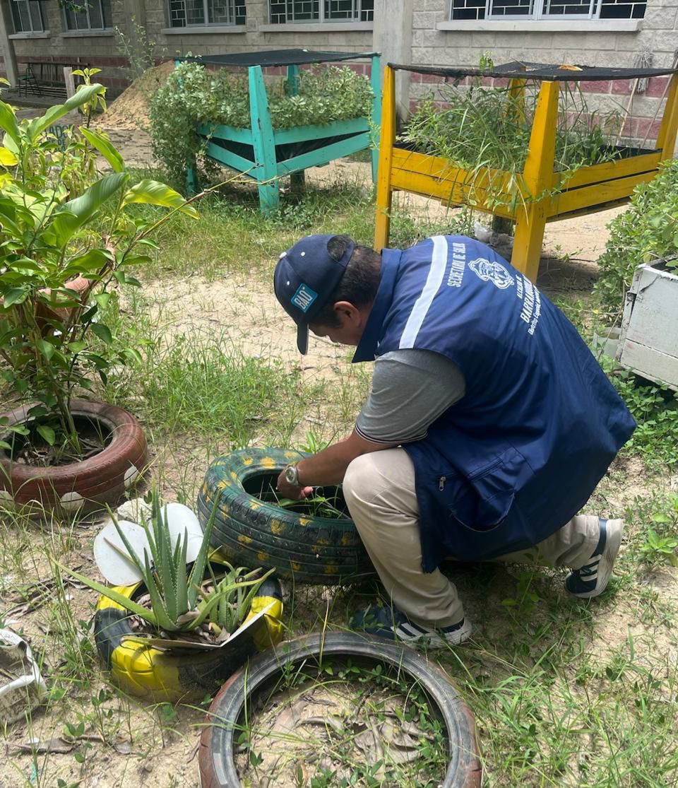 Funcionario de la Alcaldía de Barranquilla inspecciona llantas reutilizadas como parte de campaña de prevención del dengue.