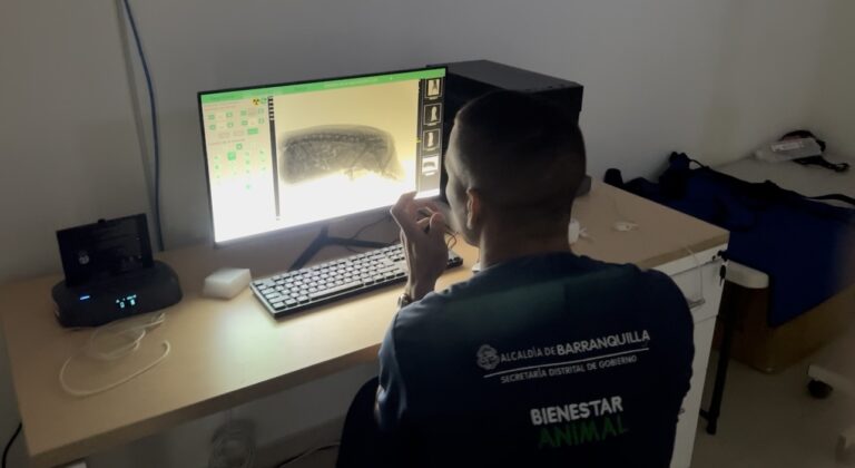 Profesional del Centro de Bienestar Animal de Barranquilla analiza radiografía veterinaria en computador.