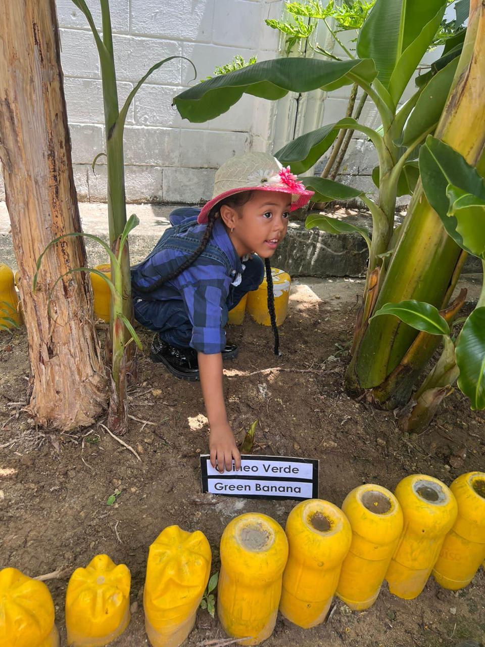 Niño realiza una siembra en proyecto de huertas escolares