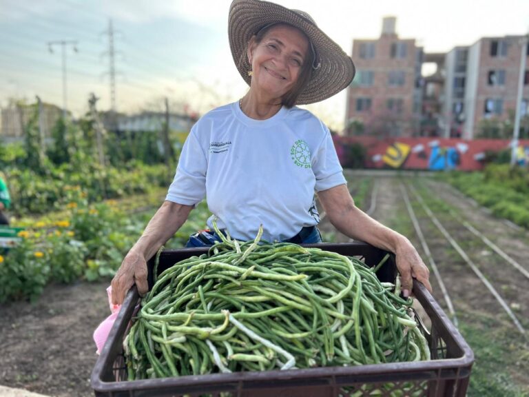 Mujer sosteniendo una cesta de verduras en la huerta comunitaria del programa GenerACTOR.