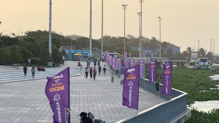 Las banderas de la OCDE en el Gran Malecón