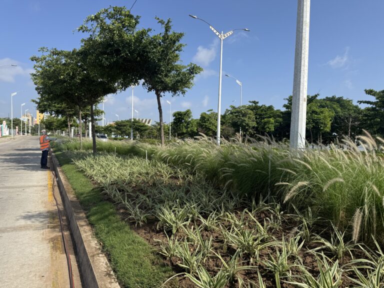 funcionario riega plantas en zona verde del corredor portuario