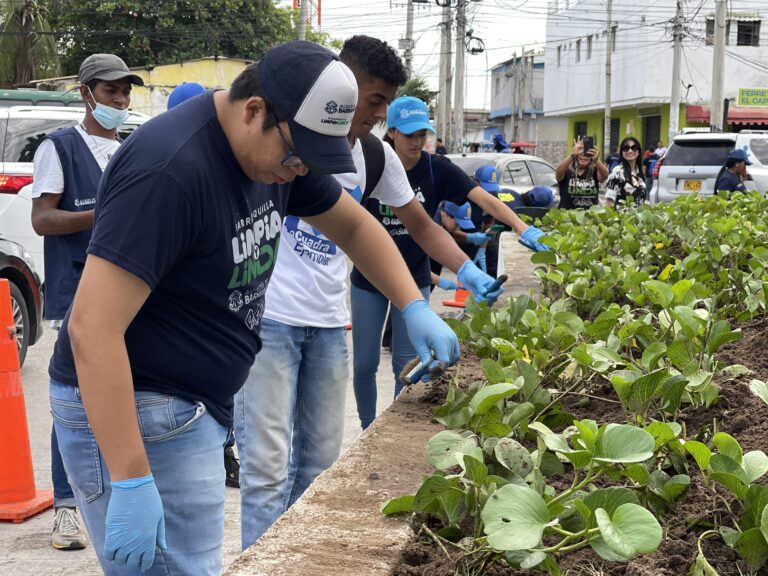 Funcionarios de Barranquilla Limpia y Linda sembrando plantas