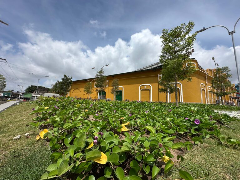 Vista exterior del renovado mercado de Granos, con fachada amarilla y detalles blanco, rodeado de jardines y flores y árboles.