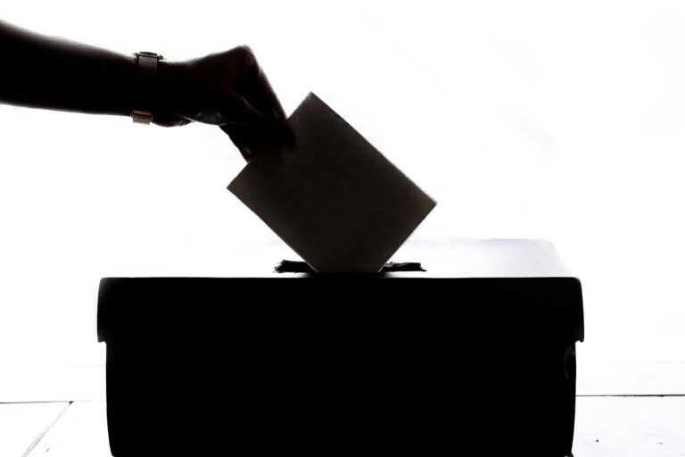 Imagen de votación