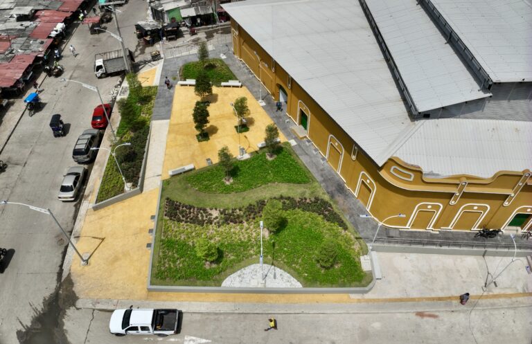 Vista aérea del nuevo paisajismo y arborización en los exteriores del Mercado de Granos.