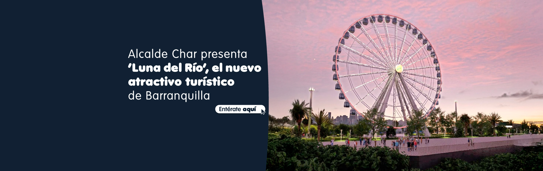 banner rueda web