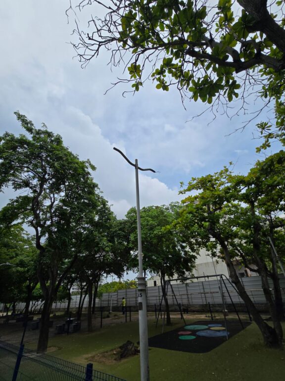 Sector parque 11 de noviembre con poste de alumbrado afectado por robo de luminarias