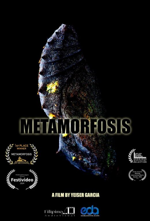 Portada de video ganador del primer puesto en la categoría Filminuto del Saria Film Festival.