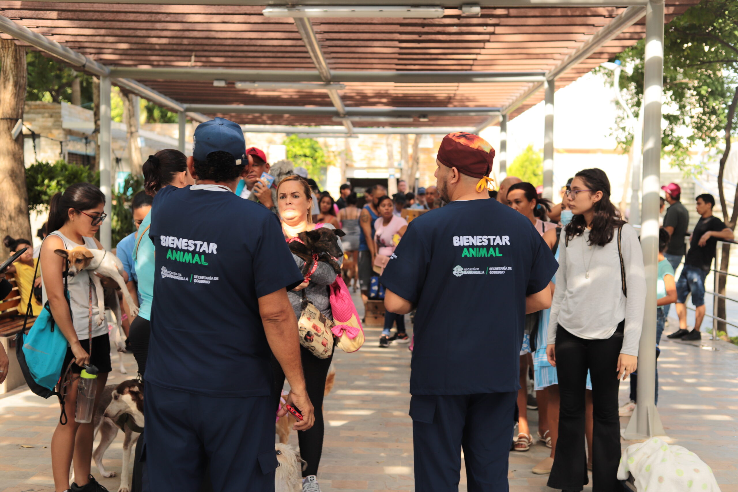 Veterinarios organizan a ciudadanos que asisten con sus mascotas a jornada de esterilización