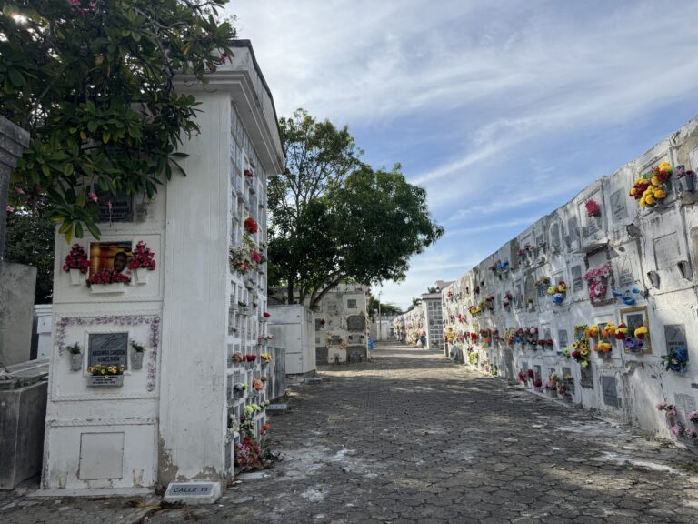 El Cementerio Universal por dentro.