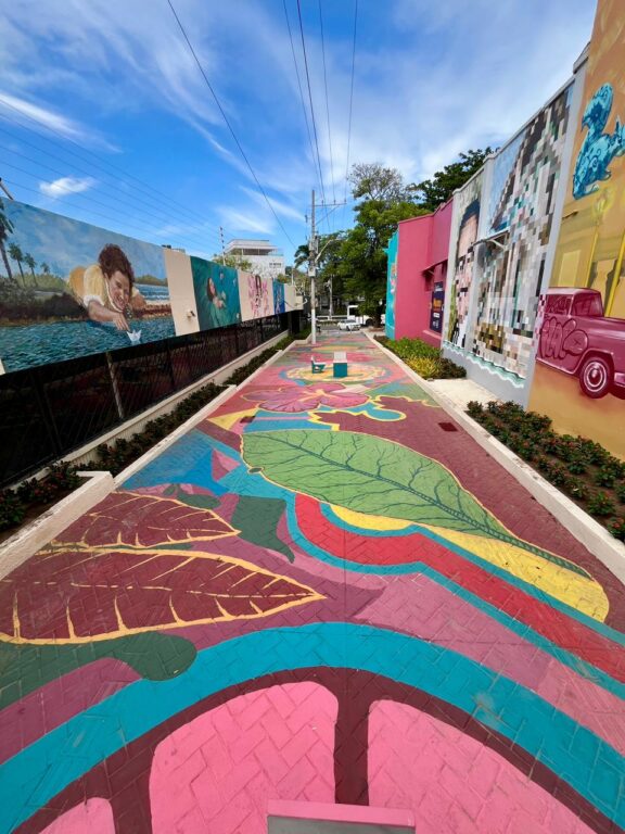 Vista de callejon la libertad en barrio el prado.