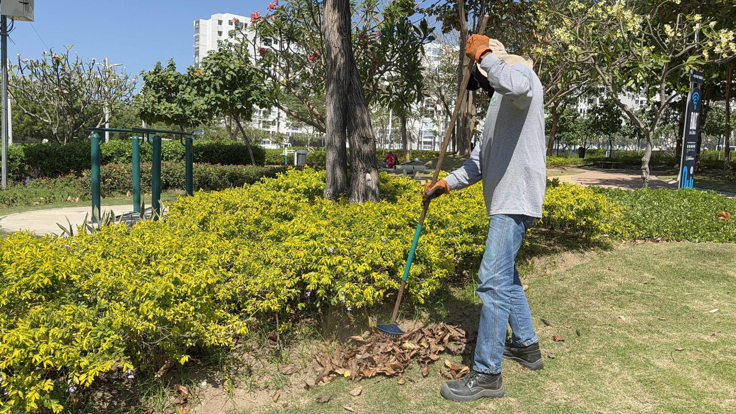 Operario realizando limpieza a parque de la ciudad.
