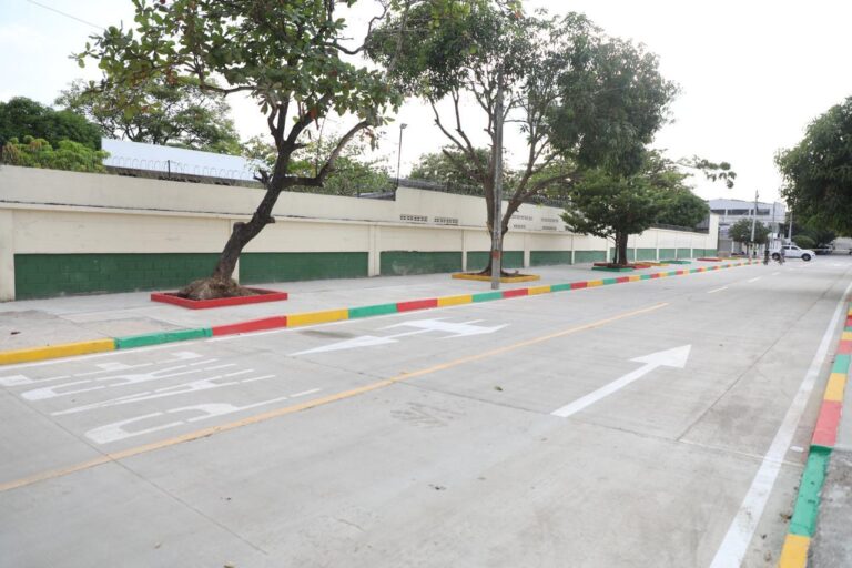 Calle limpia llena de color