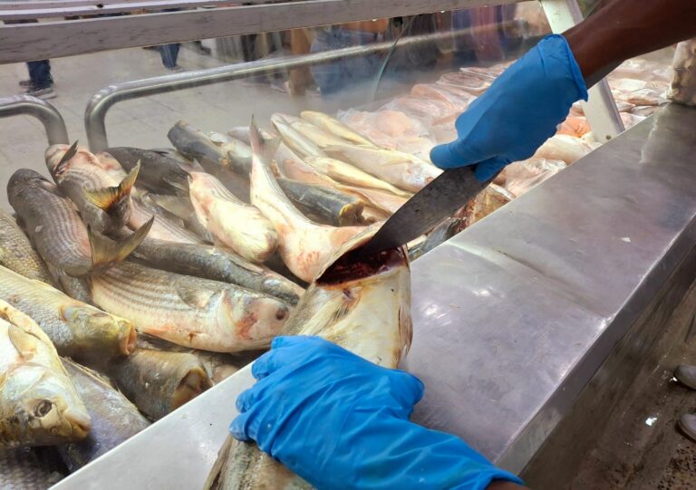 Manipulador de alimentos picando pescado en una vitrina de un supermercado