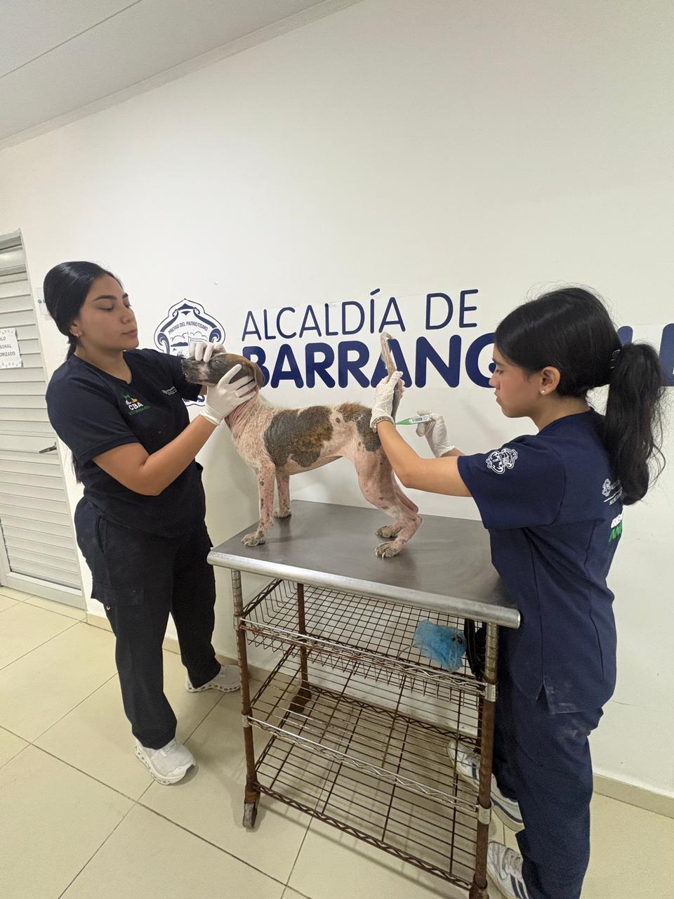 antención de un canino por dos funcionarias del CBA